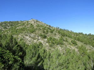 IMG_4456 (Medium)